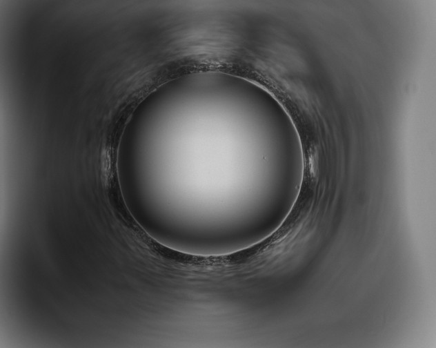 X0000094781347200711161408