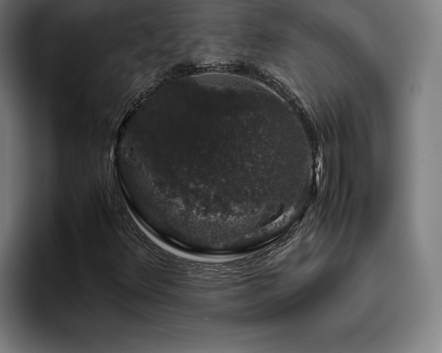X0000094781348200711161408