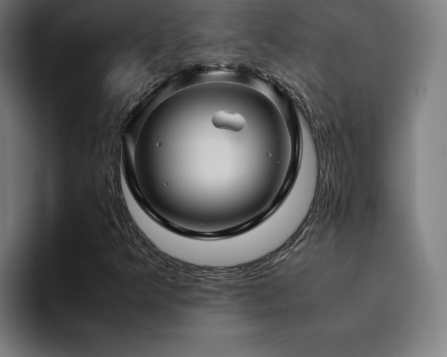 X0000094781349200711161407