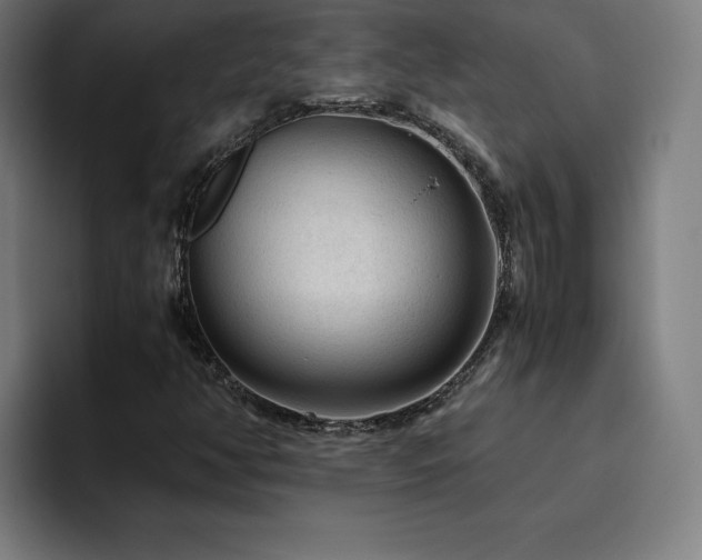 X0000094781350200711161407