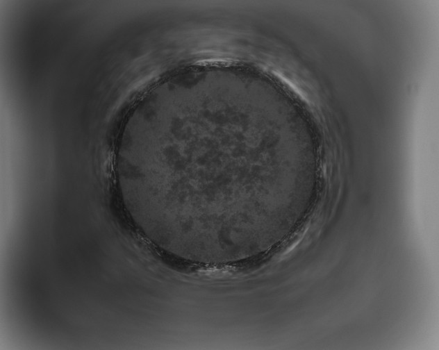 X0000094781351200711161407