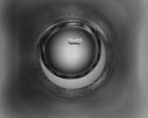 X0000094781352200711161407