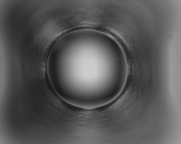 X0000094781355200711161407