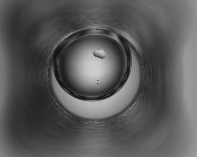 X0000094781356200711161407