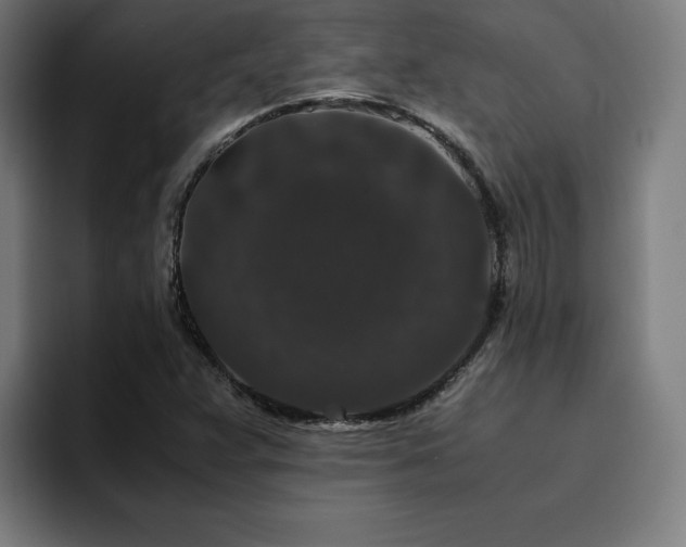 X0000094781359200711161407