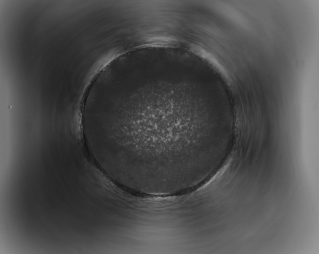 X0000094781362200711161407