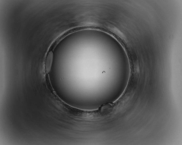 X0000094781364200711161407