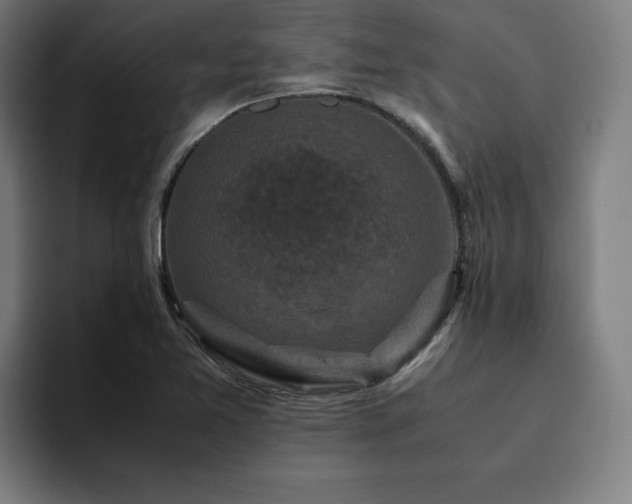 X0000094781365200711161407