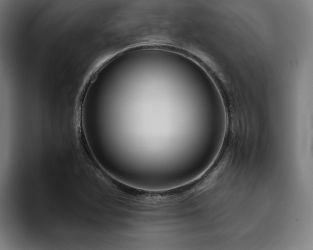 X0000094781366200711161407