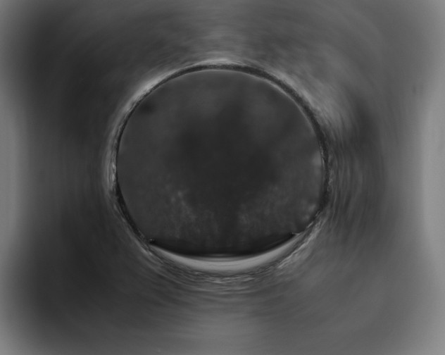 X0000094781367200711161407