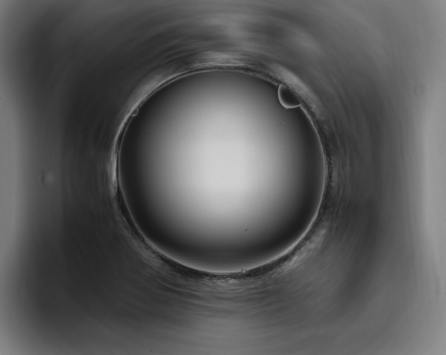 X0000094781370200711161407