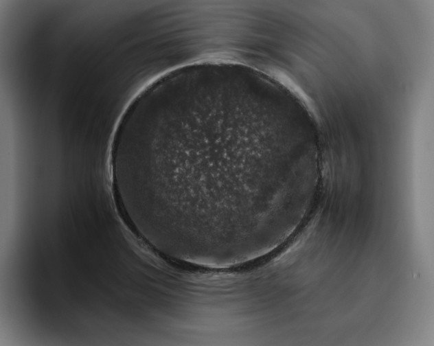 X0000094781372200711161407