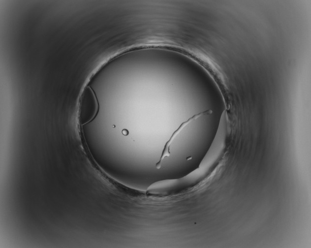 X0000094781374200711161407