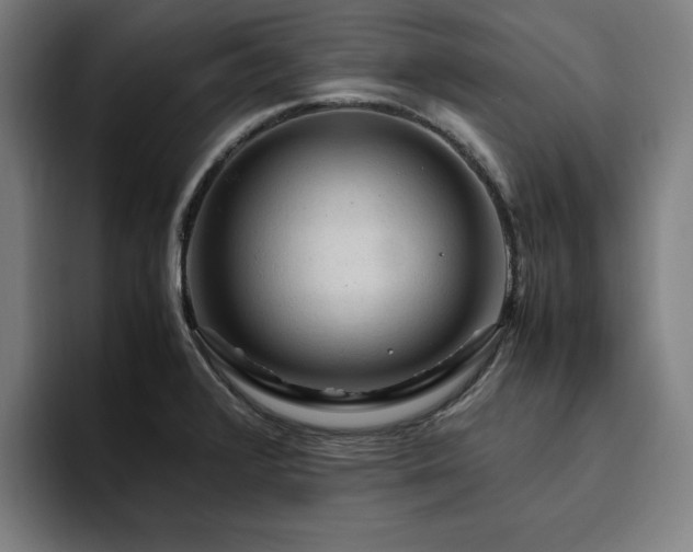 X0000094781376200711161407