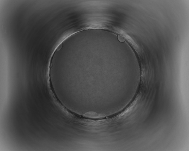 X0000094781378200711161407