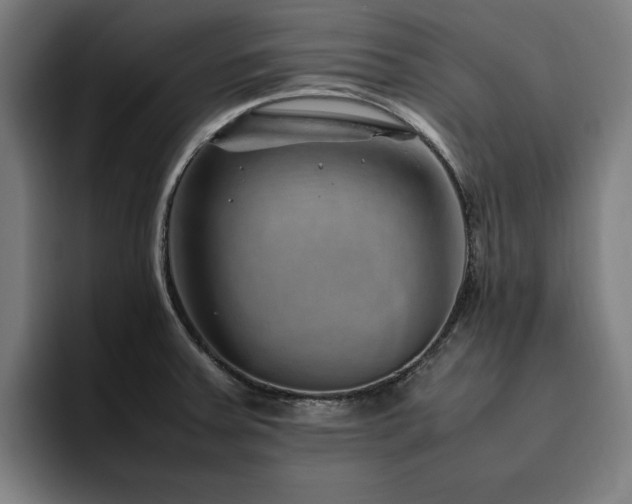 X0000094781379200711161407