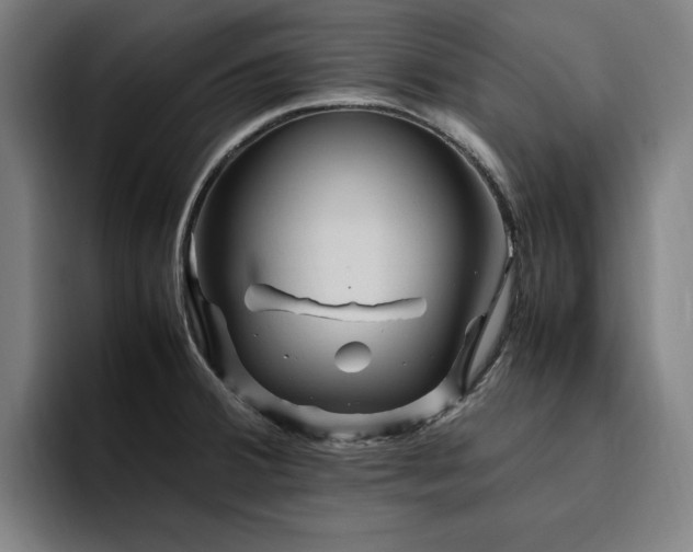 X0000094781380200711161407