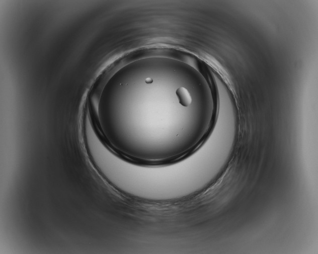 X0000094781384200711161407