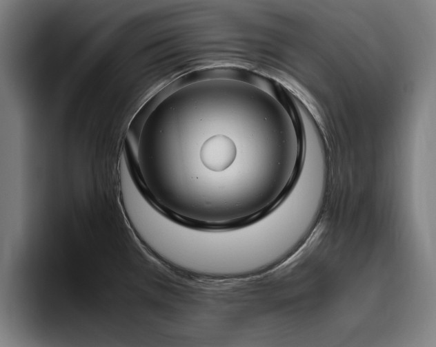 X0000094781385200711161407