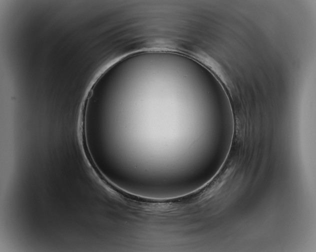 X0000094781387200711161407