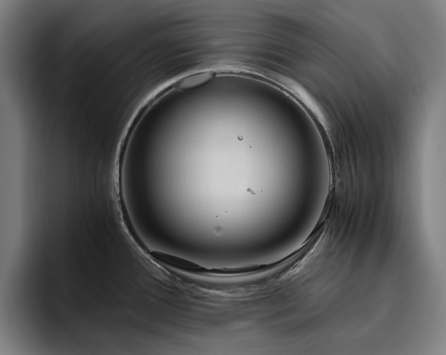 X0000094781388200711161407