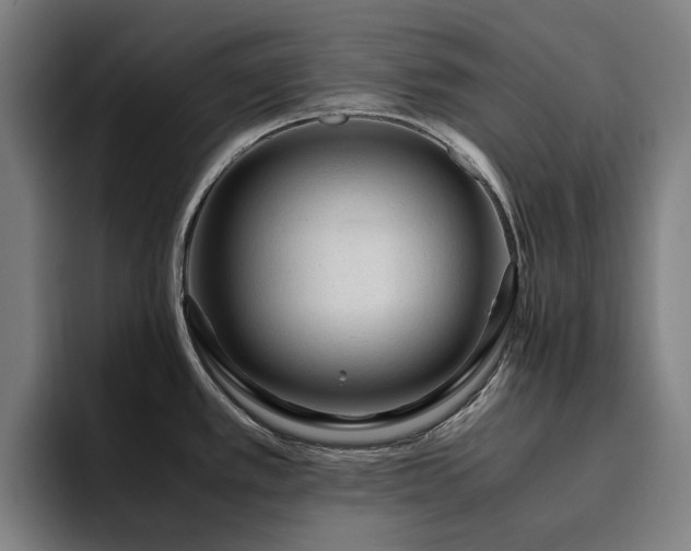 X0000094781389200711161407
