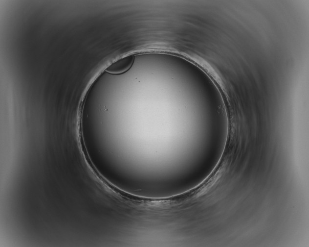 X0000094781390200711161407