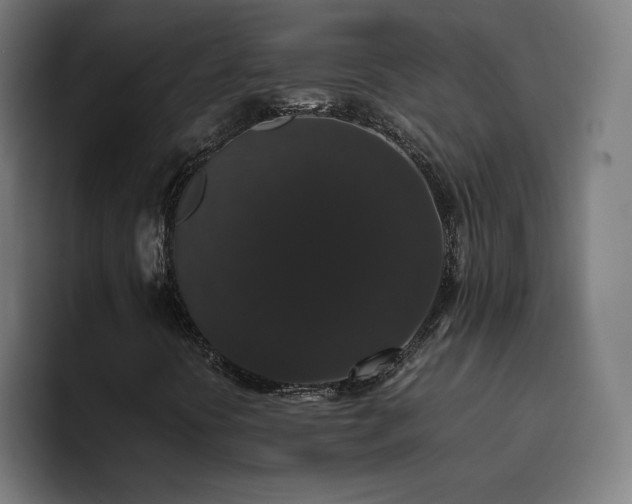 X0000094781394200711161406