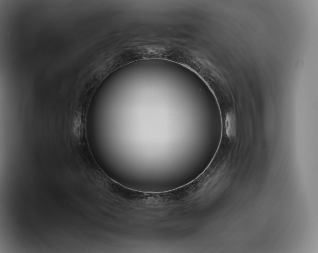 X0000094781395200711161406