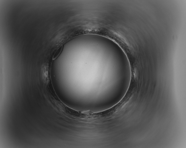 X0000094781396200711161406