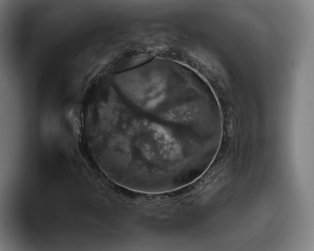 X0000094781397200711161406