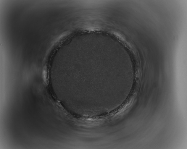 X0000094781398200711161406