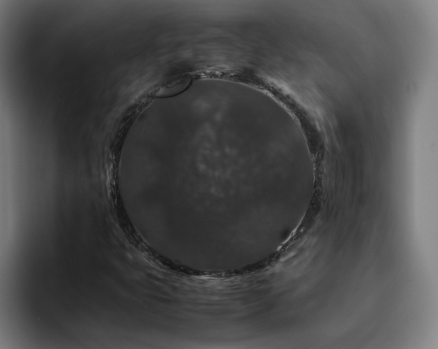 X0000094781399200711161406