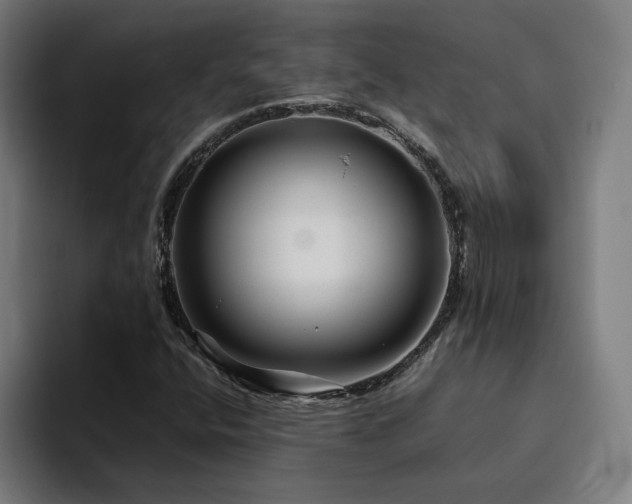 X0000094781400200711161406