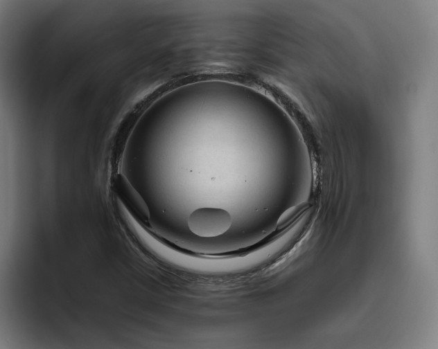 X0000094781402200711161406