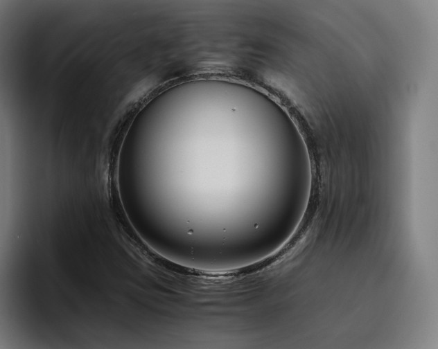 X0000094781403200711161406