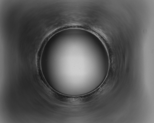 X0000094781404200711161406