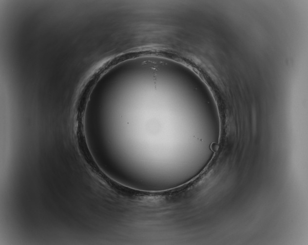 X0000094781406200711161406
