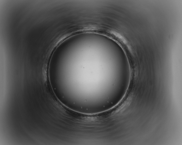 X0000094781409200711161407