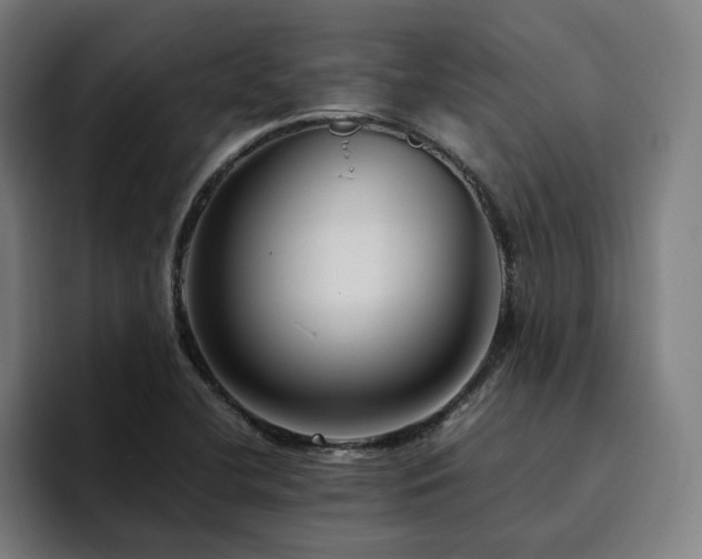 X0000094781412200711161407