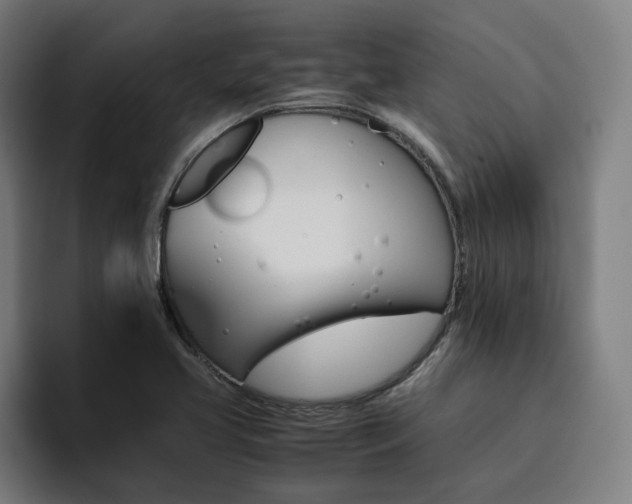 X0000094781413200711161407