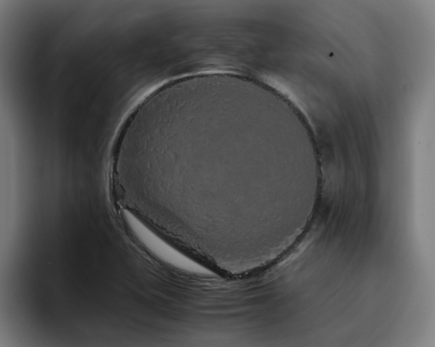 X0000094781415200711161407