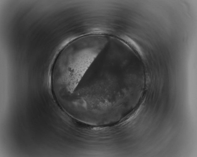 X0000094781419200711161407
