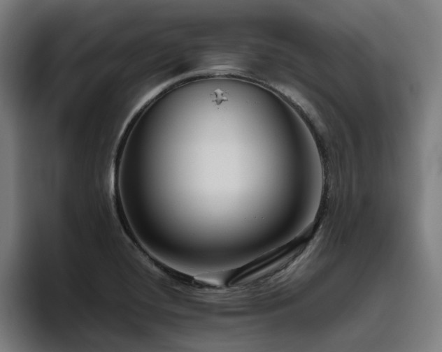X0000094781420200711161407