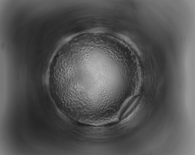 X0000094781421200711161407