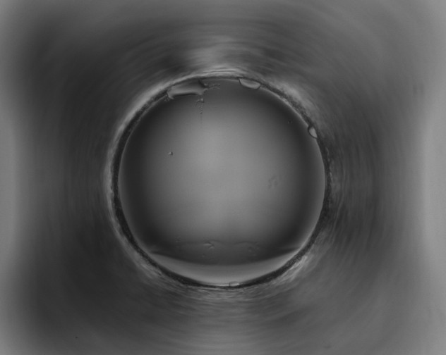 X0000094781422200711161407