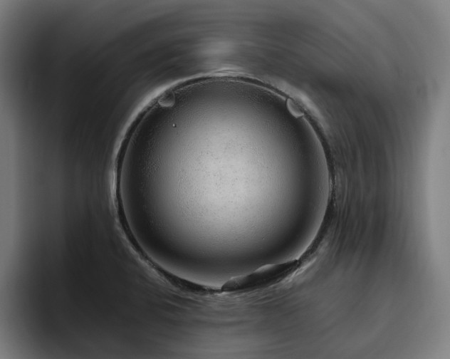 X0000094781424200711161407