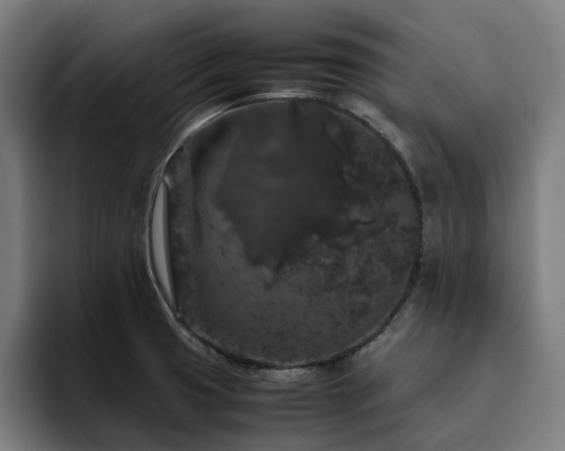 X0000094781425200711161407