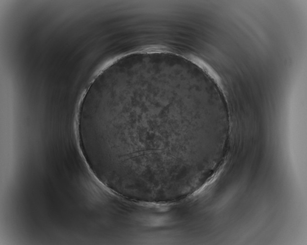 X0000094781429200711161407