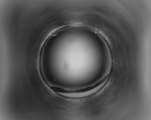 X0000094781432200711161407
